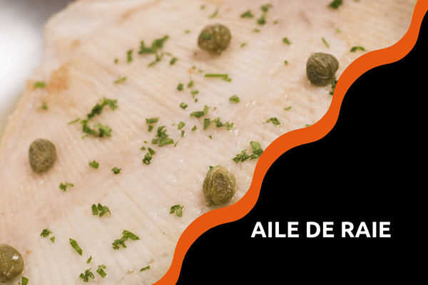 aile-de-raie